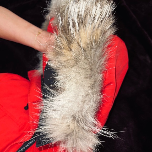 Canada Goose coat. Size XS. In good condition. - Picture 3 of 7